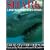 Shark: A Photographer's Story