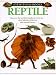 Reptile (Eyewitness Books, No. 27)