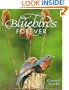 Bluebirds Forever (Wildlife)