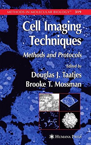 Cell Imaging Techniques (Methods in Molecular Biology)