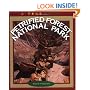 Petrified Forest National Park (True Book)