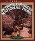 Petrified Forest National Park (True Book)