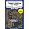 Monitor Lizards