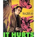 It Hurts: New York Art from Warhol to Now