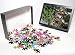 Photo Jigsaw Puzzle of William Tell, legendary Swiss archer from North Wind Picture Archives