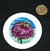3 button / pin printed with plant, honeybee, pollen, collecting, bee