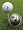 Tin Cup The Peppah Golf Ball Custom Marker Alignment Tool The Pepper
