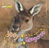 Joey to kangaroo