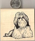 Detailed Shih Tzu Dog Rubber Stamp - Wood Mounted