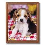 51QIG1Zuv%2BL. SL160  Framed Oak Beagle Puppy Dog Kids Room Animal Picture Art Print