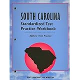 algebra 1 grade 9 standard test practice workbook holt algebra 1 south carolina alg 1 2003