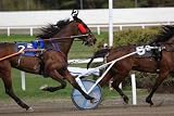 Trotters - 24