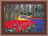 Review ArtToFrames  / 16x24 / 16 x 24 Picture Frame Cherry w/ Step Lip .. 1.5'' wide