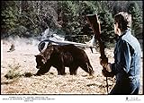 Image de Grizzly - Le monstre de la forêt [Blu-ray]