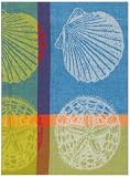 100% Cotton Jacquard Sand Shells Turquoise Dishtowel 18" X 28" Set / 6