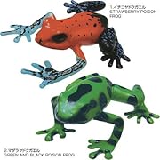 立体図鑑リアルフィギュアボックス　フロッグ （カエル）
