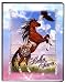 Bella Sara Horses Trading Card Game Collector? Mini Binder Native Lights Cheyenne/Eagle
