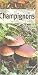 Champignons