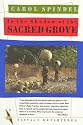 In the Shadow of the Sacred Grove