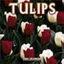 Tulips 2004 Calendar