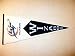 Washington Wizards NBA Classic Basketball Pennant
