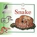 The Snake (Life Cycles Series)