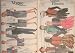 Vogue Sewing Patterns #9672 and #8617