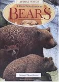A Visual Introduction to Bears (Animal Watch)