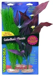 Vibran-Sea African Sword & Soft Foxtail Cluster Aquarium Plant Assortment