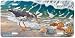 Beach Bum -Sandpiper Art Print - License Plate by Randy McGovern from Airstrike, Inc.