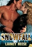 Snowfall