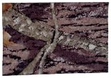 Martin Archery RealTree APG Sticky-Back Pads