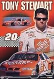 Tony Stewart (With Car) Sports Poster Print - 24