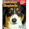 Discover Doggie Fun (and More) For Everyone