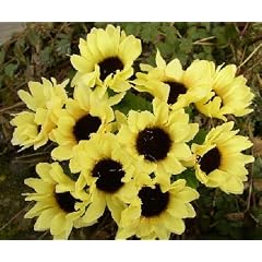 50 Stck. SONNENBLUME Seidenblumen Blume Kunstblumen