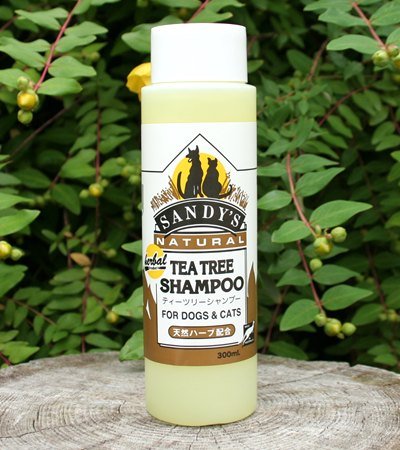 SANDY'Sティーツリーシャンプー 300ml