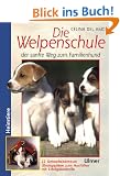 Welpenschule