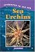 Book Sea Urchins (Creatures of the Sea)