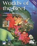 World Of The Reef Software