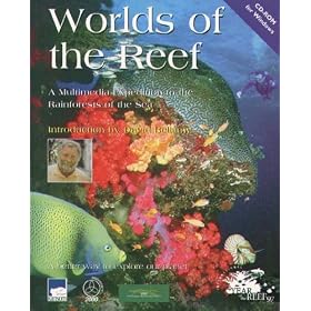 World Of The Reef