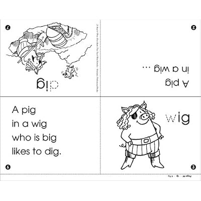 Short Vowel Word Families Mini-Books