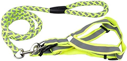 Adjustable & Reflective Nylon Step-in-Harness & Leash Set for Puppy ,Medium Pet Dog