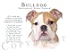 Bulldog Human Trainer Mouse Pad Dog Mousepad