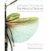 Dragonfly (a fairy) Recommends
