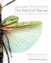 The Hand of Nature: Butterflies, Beetles, and Dragonflies