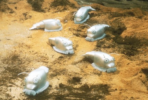 Doctor Who (Classic) Season 5 movie