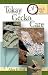 Book Quick & Easy Tokay Gecko Care (Quick & Easy)