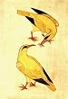 Miniatures India Folk Famous Paintings Drawings with Water Color on Paper 8.75 x 7 inches