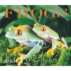 Frogs 2001 Calendar