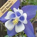100 Seeds, Columbine "Blue Star" (Aquilegia caerulea) Seeds by Seed Needs